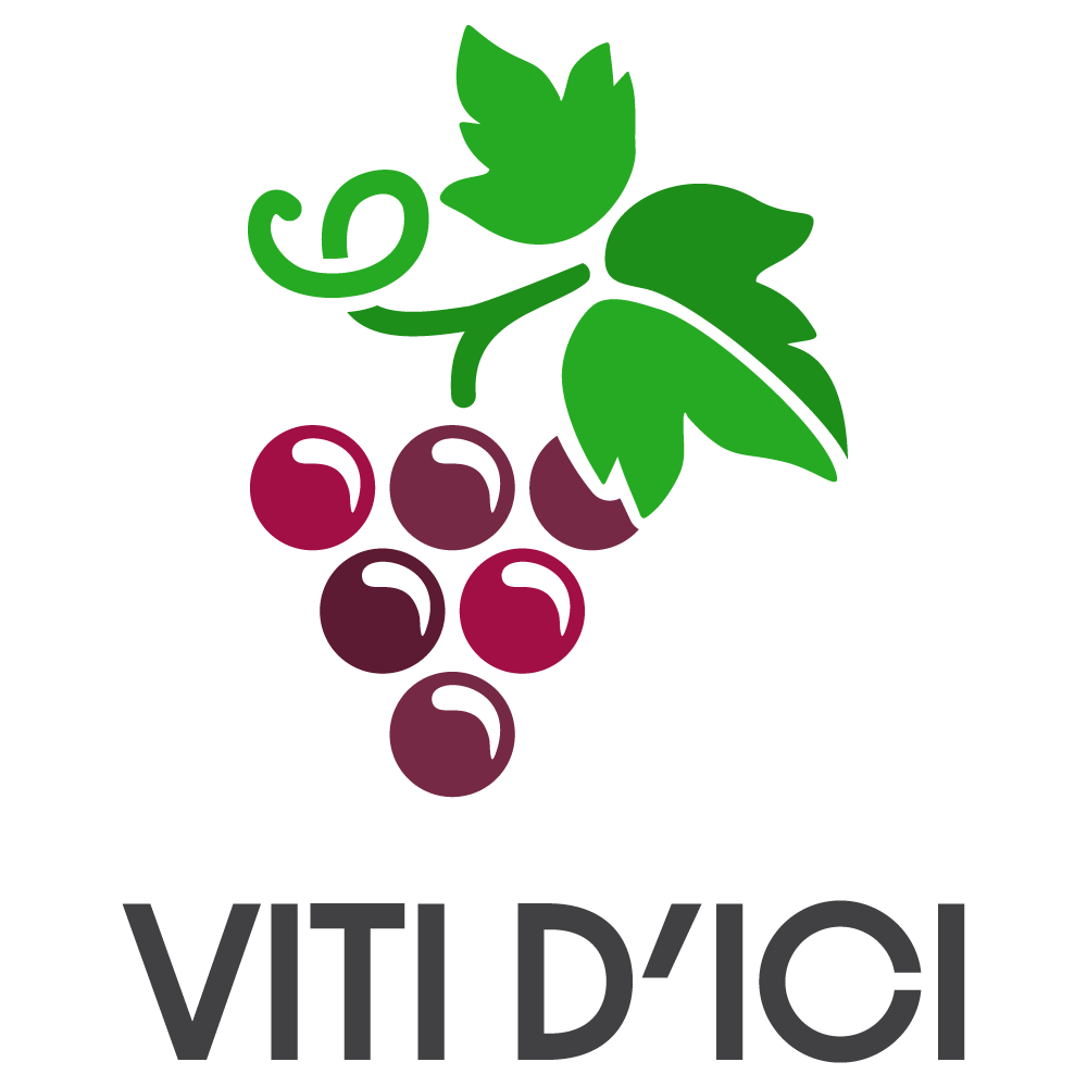 Viti D'ici