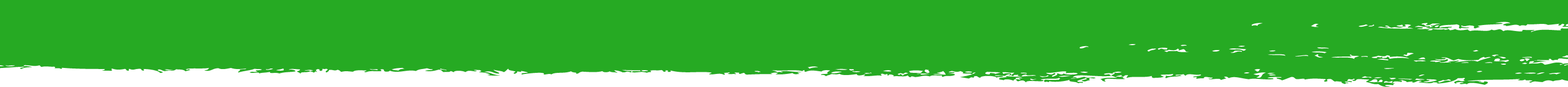 vertvinidici-1